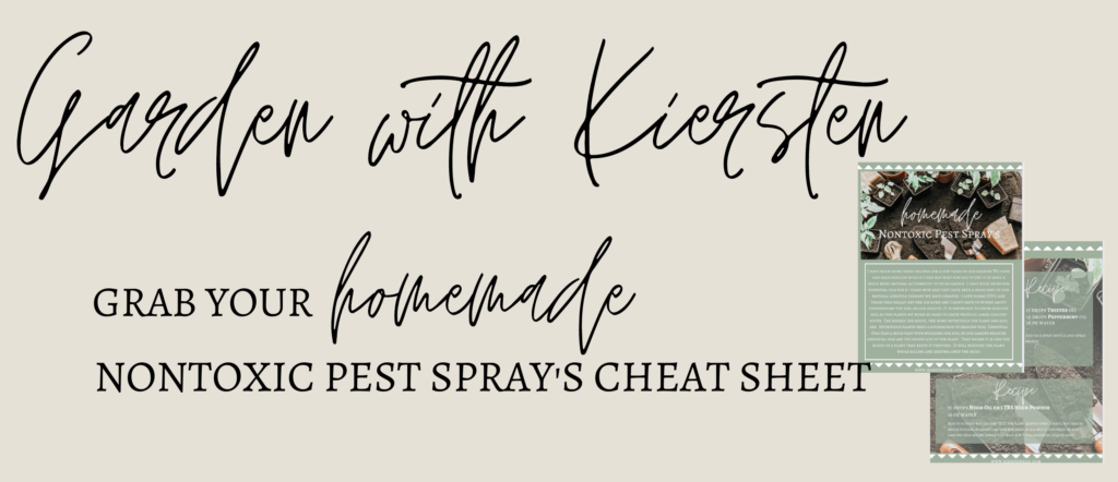 a newsletter image of the nontoxic pest spray cheat sheet