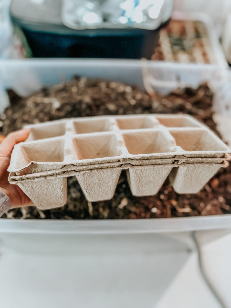 brown seed trays in soil to germinate seeds