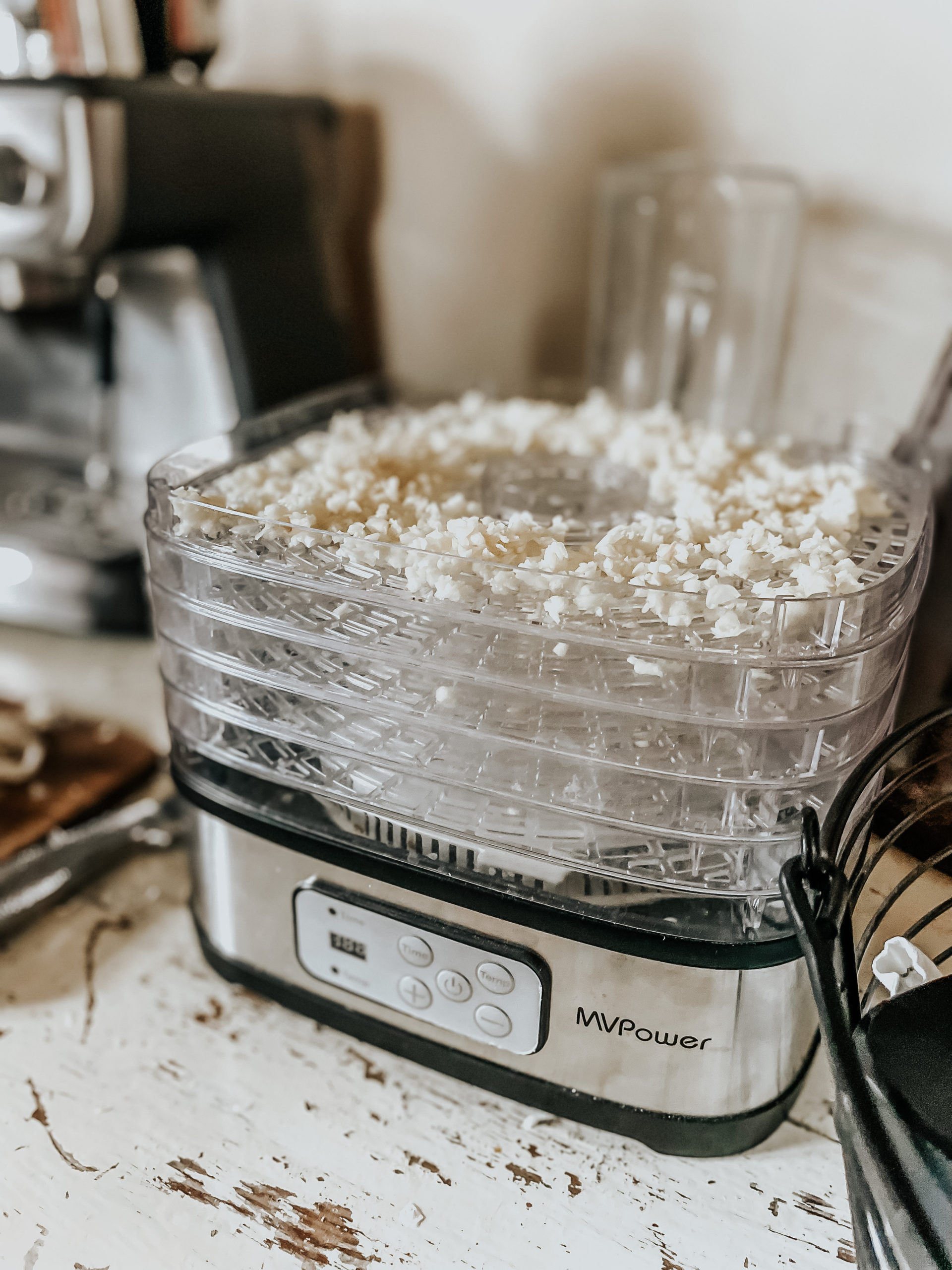 How to Dehydrate Garlic A StepbyStep Guide Kiersten Zile