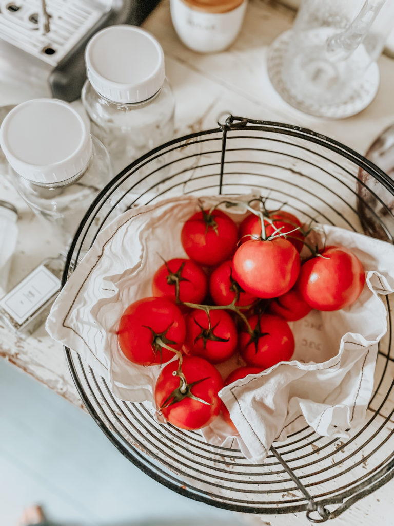 freshly harvested tomatoes with fermenting supplies to make fermented tomato jars