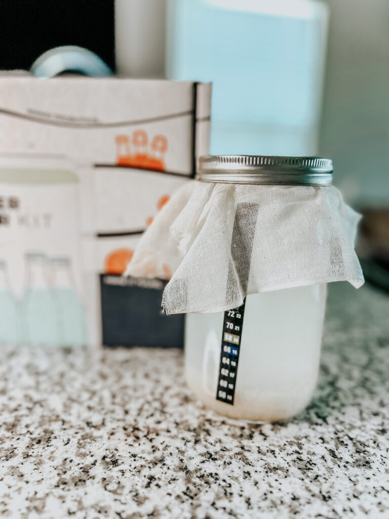 How to Make Water Kefir Easily Kiersten Zile