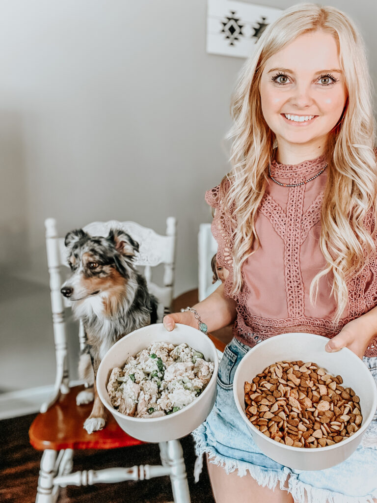 Lexi the australian shepherd sitting at the kitchen counter while kiersten zile her owner holds store bought dog food and homemade dog food