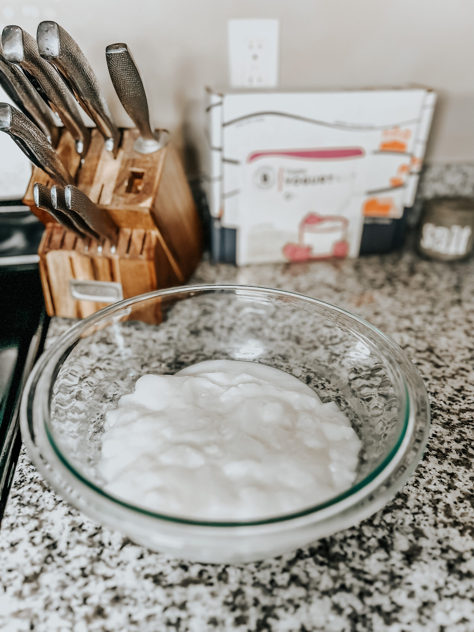 a dairy-free yogurt made out of rice milk in a glass mixing bowl